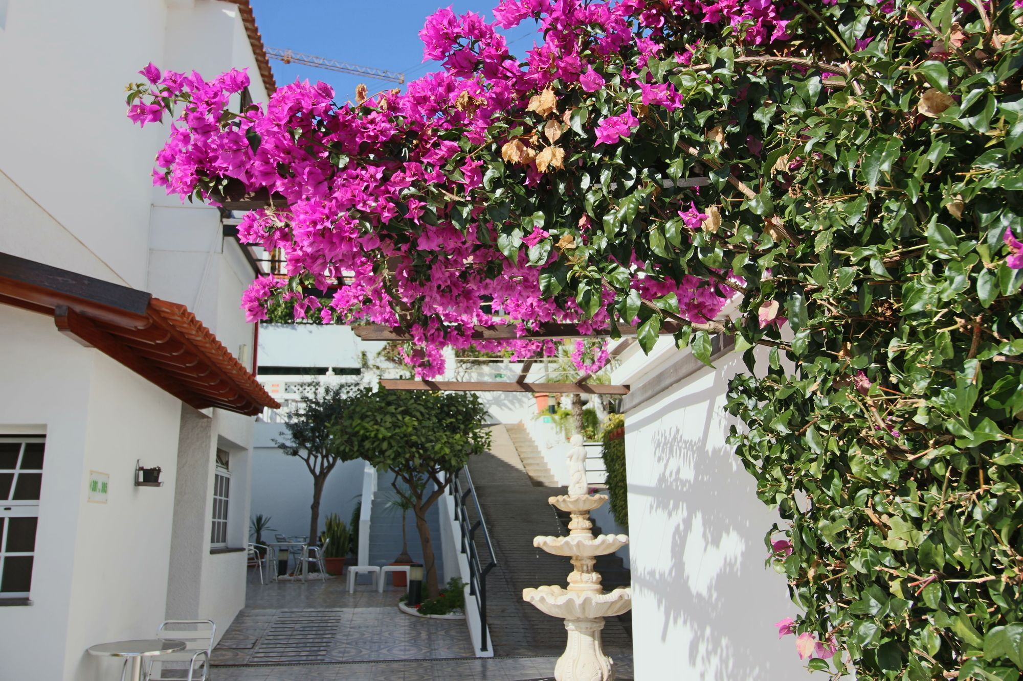 פונשל Guesthouse Vila Lusitania מראה חיצוני תמונה