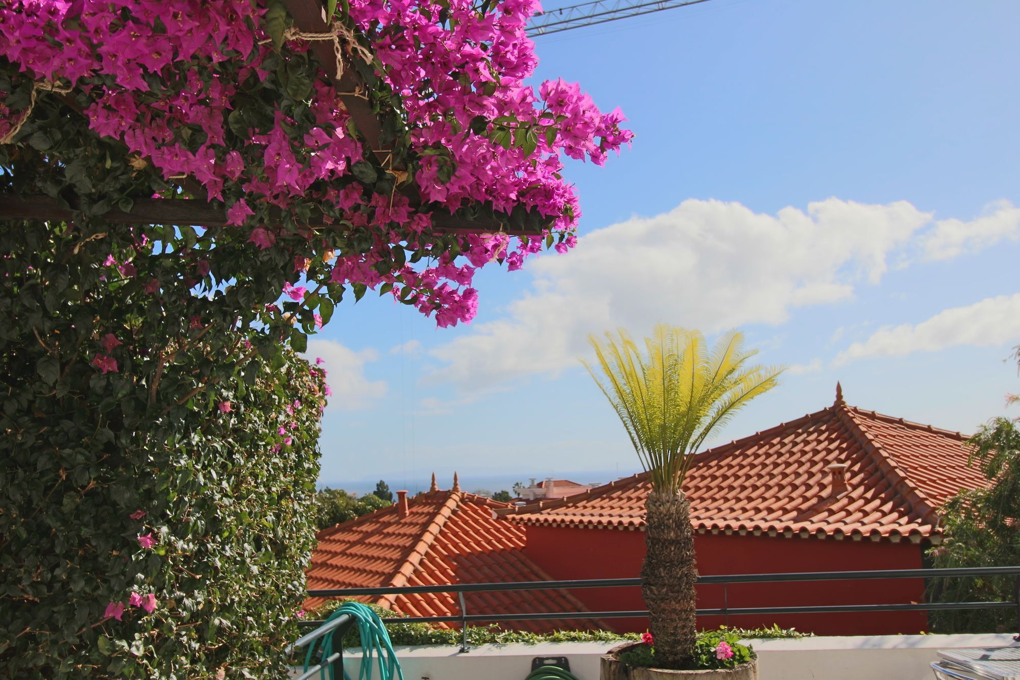 פונשל Guesthouse Vila Lusitania מראה חיצוני תמונה